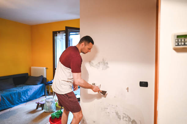 Best Mold Cleaning Services  in Bear Rocks, PA